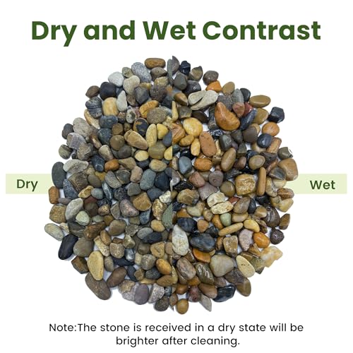 SIDONG 5LB Natural Aquarium Gravel, Small River Rocks for Fish Tank, Garden & Vase Decor - 2/5 Inch Pea Gravel, 8-12mm Polished Stones for Landscaping, Potted Plants, Terrarium - color: 5lb, size: 8-12mm