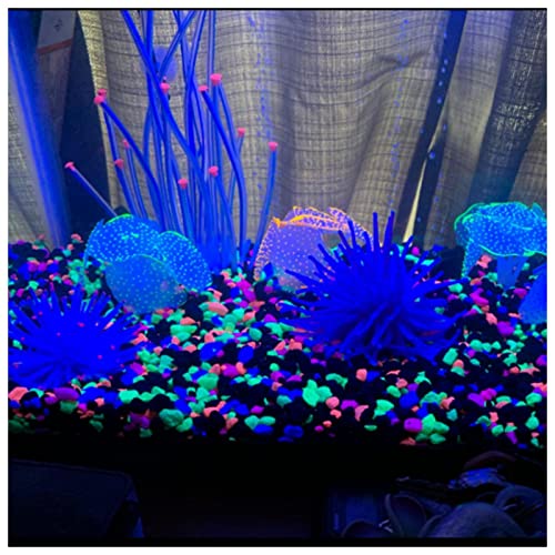 WishLotus Aquarium Coral Decoration, 2 Pack Soft Silicone Fish Tank Glow Decor with Suction Cups Simulated Plant Decoration Fluorescent Effect for Aquarium/Fish Tank Landscape Ornament (Blue)