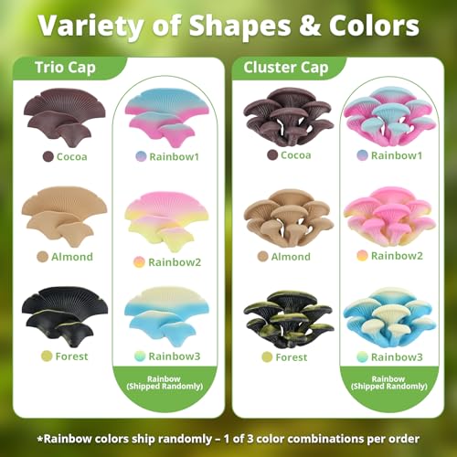 Westant Mushroom Decor for Reptile Tank, Fish Tank, Pet-Safe Bearded Dragon Tank Accessories, Realistic Terrarium Plants for Leopard Geckos, Frogs, Snakes (Rainbow Cluster Cap, Randomly Ship) - color: Rainbow, size: Cluster Cap