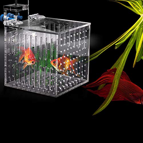 Fish Breeding Box, 4.13 * 4.13 * 4.13 inch Acrylic Fish Isolation Box with Suction Cups, Aquarium Acclimation Hatchery Incubator Fish Tank Multifunctional Acrylic High Clear Fish