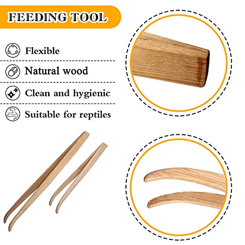 ASOCEA 2 Pack Extra Long Reptile Tweezers Feeder Tool Lizard Feeder Tongs with Anti-Slip Design for Bearded Dragons Lguanas Lizards Turtles Geckos Corals（11in and 6.5in