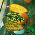 HIERYAN 3 Pack Betta Fish Leaf Aquarium Plant Leaves, Hammock Plant Leaf Pad Fish Spawning Grounds Breeding Resting Bed