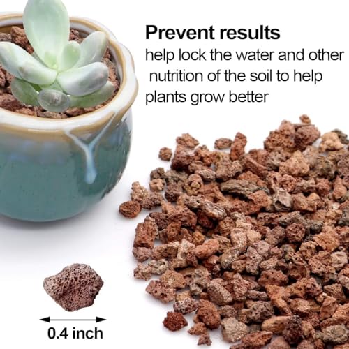 TOYPOPOR 6lb Red Lava Rocks Soil for Plants, Bonsai Cacti Succulents Horticultural Stones, Natural Decorative Volcanic Drainage Gravel for Vase Fillers, Terrarium, Top Dressing, Landscaping, Gardening - color: Horticultural Lava Rock, size: 6 lb