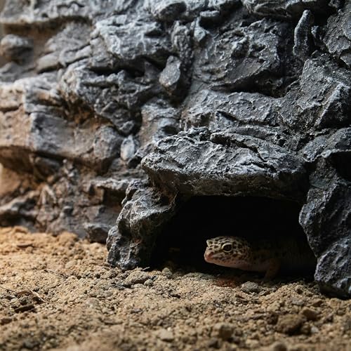 Toddmomy Rock Terrarium Background 3D Reptile Habitat Backgrounds, 17.7x11.8in Decorative Backdrop for Tanks Bearded Dragons Lizard Gecko Spider Chameleon Turtle Fish