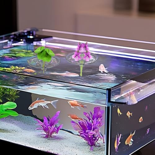 10 PCS Floating Aquarium Plant Holder, 2 Sizes Creative Floating Flower Display Stand, Clear Round Plastic Flower Bowl, Fish Tank Fixing Ring for Small & Single Flower Water Plants