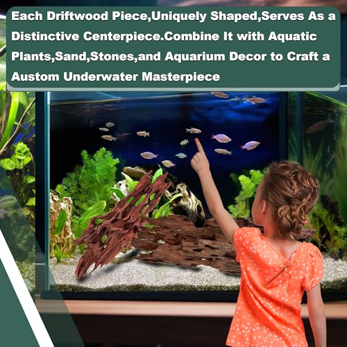 Natural Wood Driftwood for Aquarium Fish Tank Decor,Assorted Driftwood Trunk Branch for Reptile Tank Decor (SHP-XM Driftwood (6 to10 Inch)-Pack of 2) - color: SHP-XM Driftwood (6 to10 Inch)-Pack of 2