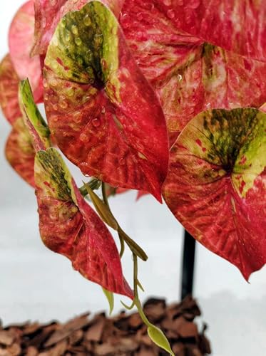 2 Pack Reptile Plants for Terrarium Decor, Amphibian Habitat Decor, Reptile Tank Accessories, Artificial Hanging Plants with Suction Cup (Red Arrowhead) - color: Red Arrowhead