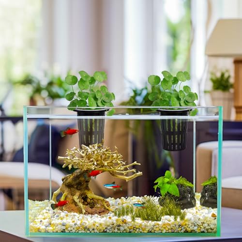 Lawei 12 Pack Aquarium Plant Holder with 3 Size Extension Hooks and Suction Cups, Large Hanging Aquarium Plant Holder, Aquatic Planter Cups Pots for Fish Tank Cultivation and Aquascape Decorations