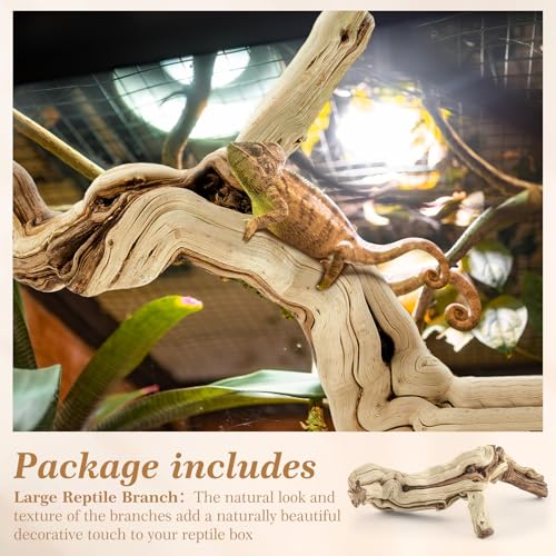 Janinka 14-17" Length Large Wood Reptile Branch for Bearded Dragon Driftwood Reptile Climbing Habitat Decoration for Terrarium Tree Trunk Ornament Gecko Frog Chameleon Spider - size: 14-17"