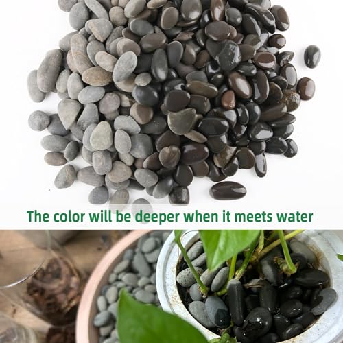 7LB River Rocks Mexican Beach Pebbles for Garden Landscape Plants Paving Grey (1Inch) - size: 7LB, style: Medium