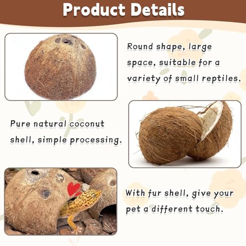 Natural Coconut Reptile Hideouts Lizard, Coco Hut Hermit Crab Hut Aquarium Fish Hide Cave for Small Reptile Crested Gecko Leopard Gecko Spider Snail Climber Toys (6 PCS Natural Surface)