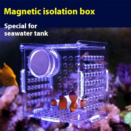 Acrylic Fish Breeding Box, Magnetic Fish Isolation Box Fish Separator for Aquarium Hatchery Incubator Tank for Baby Fishes Shrimp Clownfish Guppy (Medium, Normal Magnetic Model) - size: Medium, Normal magnetic model
