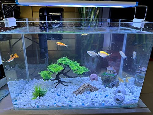 AWXZOM Small Japanese Fish Tank Decorations Set, Suitable for Aquariums up to 5 Gallon or Fish Bowl, Includes Small Decorations Artificial Plastic Plants Fish Tank House