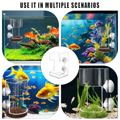 No Mess Aquarium Feeder, Acrylic Clear Fish Tank Feeder with Suction Cup, Preventing Food Scattering Feeding Tray Hollow Floating Sinking Shrimp Food Holders (Square,1) - color: Square