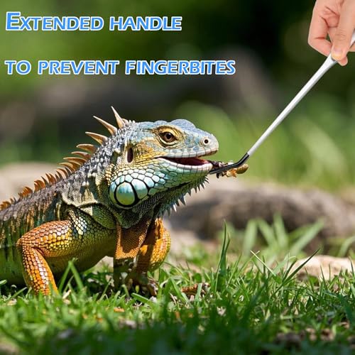 4-Piece Stainless Steel Reptile Feeding Tongs & Spoons Set with Case: 10.5"" Curved/Straight Tweezers, 7"" Spoons, Rubber Tips for Bearded Dragons, Aquarium/Terrarium Safe Feeding Tools