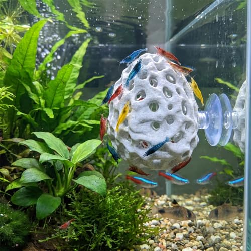 Shrimps Dome Hide Betta Hideout Shrimp Hides for Aquarium Shrimp Cave Realistic Plastic Aquarium Coral Rock Decorations with Suction Cup Aquariums Ornaments Tank Accessories for Fish Hiding & Resting
