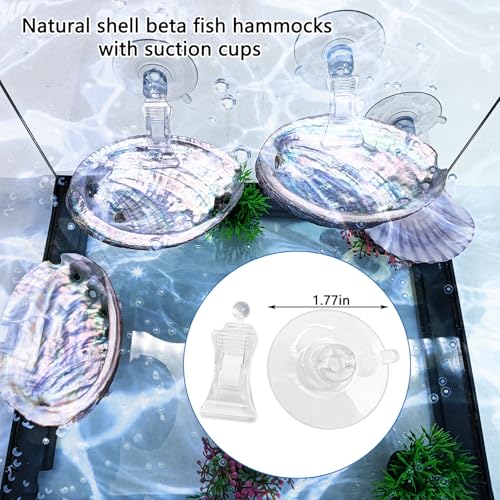 VCEPJH Betta Resting Spot 4 Pcs Shell Bed Toys for Aquarium Betta Hammock with Suction Cups Small Fish Natural Spawning Grounds Breeding Fish Tank Accessories Decorations - color: 2 Pcs Scallops + 2 Pcs Oysters