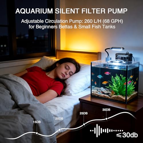 2.5 Gallon Betta Fish Tank, Small Aquarium Kit,Glass Small Fish Tank,Betta Fish Tank with a lid and Light and Filter, Small Transparent Glass Fish Tank with Light and Filter (Black Glass Background) - size: 2.5 Gallon