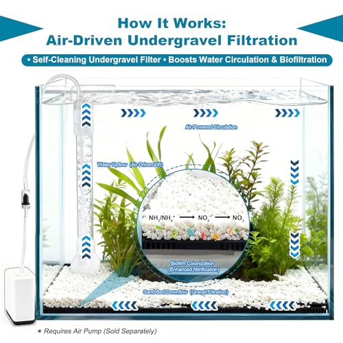 Undergravel Filter System for 5 Gallon Fish Tank, Air-Driven Biofiltration Aquarium Filter Kit with 6 Modular Plates & Adjustable Lift Tube, Cut-to-Fit Under Gravel System for Clear Water - size: 6 Plates, 5 Gal