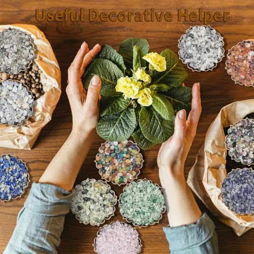 0.45 LB Polished Agate Stones Natural Decorative Rocks for Outdoor Decoration Home Decoration Fish Tank Vase Filler DIY Handmade Bamboo Succulents Cactus (Color Agate) - color: Color Agate