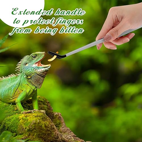 Lasnten 2 Pcs Extra Long Stainless Steel Reptile Feeding Tongs with Rubber Tip 10 Inch, 10.5 Inch Bearded Dragon Aquarium Straight and Curved Long Tweezer Terrarium Feeder Tool for Tank(Silver) - color: Silver, size: 10 Inch, 10.5 Inch