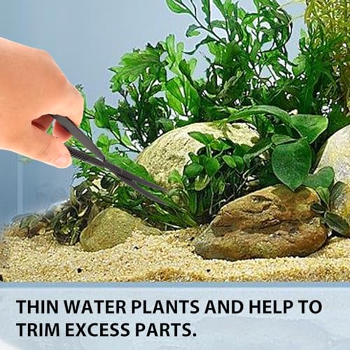 Toddmomy Professional Aquatic Plant Scissor Tool for Fish Tank Trimming Scissor Curved Design for Pruning Aquatic Plants Easy to Use and Store for Aquascaping and Terrariums