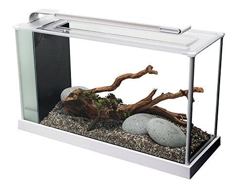 Fluval SPEC Aquarium Kit, Aquarium with LED Lighting and 3-Stage Filtration, 5 Gallon, White - color: White, size: 5 Gal.