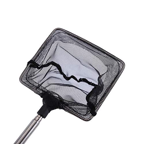 Zerodis Fish Tank Landing Net Fish Tank Cleaning Tools Adjustable from 16Cm to 44Cm with Hanging for Aquarium Shrimp Square Round Landing Net Telescopic - size: Square