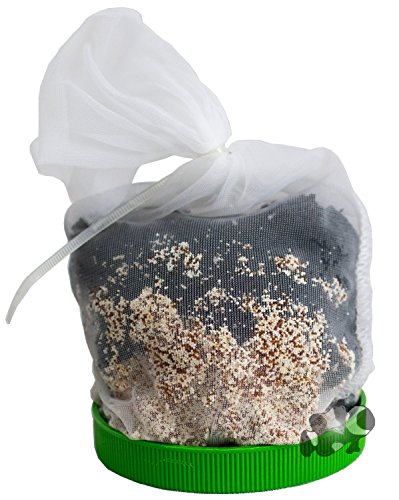 Boyd Chemi Pure Green Freshwater Planted Filter Media (5 oz)