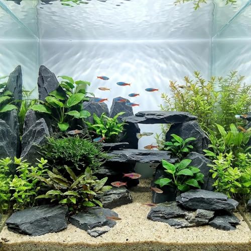 Aquarium Rock Natural Slate Rocks 2 to 6 inch Aquariums Stone for Aquascaping,Terrariums,Reptile Enclosures,Paludariums, and Gardens-10lb - size: 10lb(2-7'')