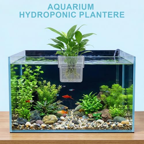 4 Pack Clear Aquarium Plant Holder Top Hanging for Fish Tank, Aquariums Planter Basket Pots for Aquatic Plants