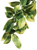 Exo Terra Plastic Terrarium Plant, Large, Mandarin - color: Mandarin, size: Large