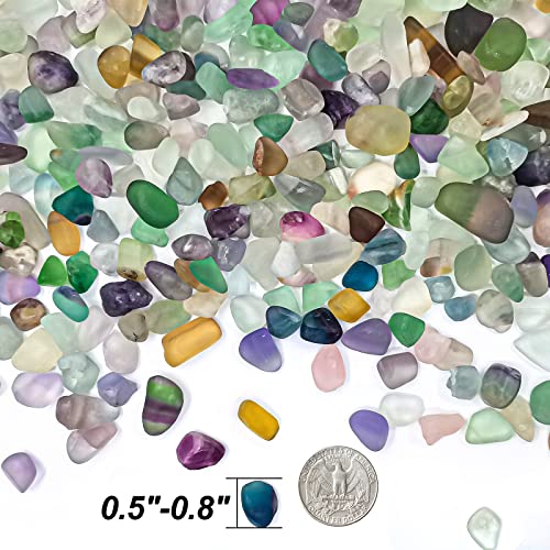 Keedolla 0.93 LB Fluorite Tumbled Chips Aquarium Fish Tank Gravel, Natural Crystal Quartz Stones Rocks Pebbles for Vase Fillers, Garden, Succulent Plants Decor - color: Mutilcolor Fluorite, size: 0.93 Pound
