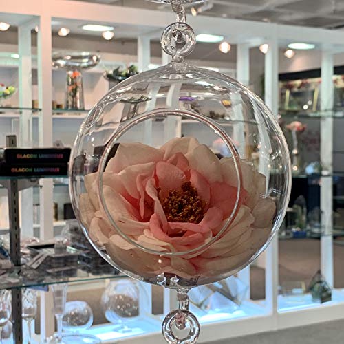 WGV Hanging Terrarium Globe, Width 4", Height 6", Double Hook, DIY Air Succulent Planter, Clear Glass Vase Orb, Candle Holder for Windowsill Outdoor Garden Decor, 6 Pieces Bulk - size: 4" Double Hook