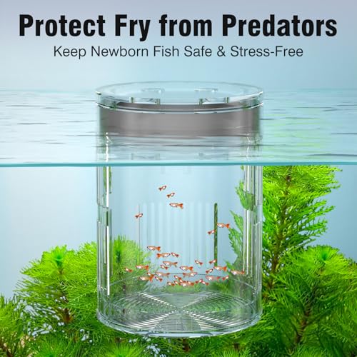 Floating Acrylic Breeder Box for Fish Tank - Aquarium Isolation Separator Hatchery Incubator for Guppy, Betta, Clownfish, Coral, Baby & Injured Fish - size: Large