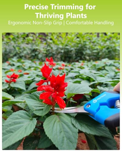 6.5" Garden Scissors Pruning Shears: 2 Pack of Trimming Scissors for Small Plants - High Cutting Efficiency Flower Snips for Gardening
