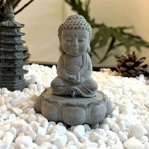 FANTIAN 5 lbs White Pebbles for Indoor Plants, 0.5-1 Inch Pea Gravel Stones for Planters, Decorative River Rocks for Succulent, Cactus, Vases, Aquariums, Crafting and Garden Landscaping - color: White, size: 5 lbs, 0.5-1 Inch