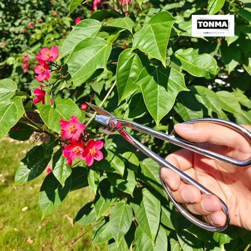 TONMA Satsuki Bonsai Scissors [Made in Japan] Professional 8.5 inch Garden Bonsai Tools Japanese Stainless Steel Hasami Pruning Scissors with Micro Serrated, Mirror Finish Process - style: Satsuki Bonsai Scissors