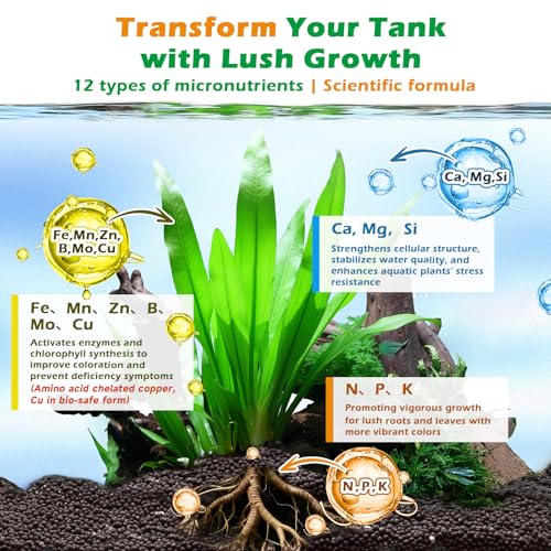 HC035 All-in-One Liquid Aquarium Plant Fertilizer - with Essential Micro & Macro Nutrients for Freshwater Planted Tanks, 150ml/500ml/1000ml (1000mL) - color: Micro&Macro Fertilizers, size: 1000mL