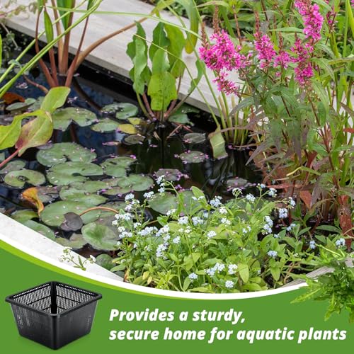 8 Pcs Aquatic Plant Baskets for Hydroponics Water Garden Plant Pots Black Plastic Mesh Basket 9 x 9 x 5.2 Inch Square Pond Containers for Island Live Aquarium Botany Flowers