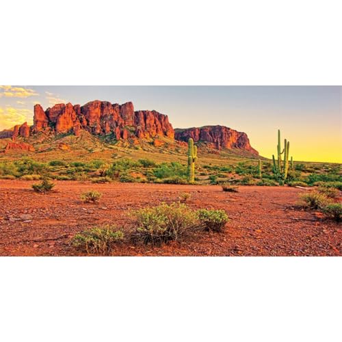 AWERT 36x24 inches Reptile Habitat Background Sky Oasis Mountain Cactus Sun and Desert Terrarium Background Durable Polyester Background - size: 36x24in/90x60cm