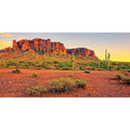 AWERT 30x12 inches Reptile Habitat Background Sky Oasis Mountain Cactus Sun and Desert Terrarium Background Durable Polyester Background - size: 30x12in/75x30cm