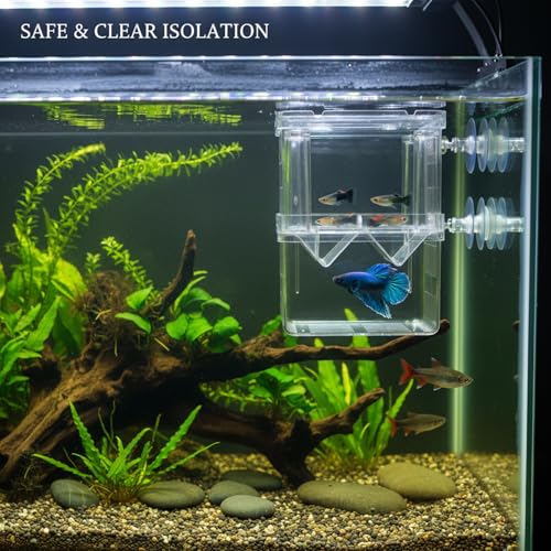 Clear PP Aquarium Isolation Box - Single Compartment Breeding & Separation Tank for Fry and Fish, 3.15 x 2.76 x 3.94 Inches