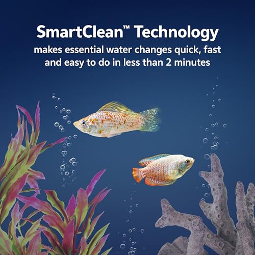 Aqueon LED MiniBow Small Aquarium Fish Tank Kit with SmartClean Technology, Black, 5 Gallon - color: Black, size: 5 Gallon
