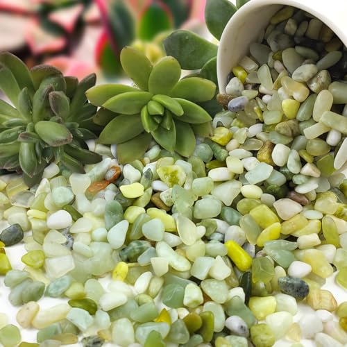 FANTIAN Jade Pebbles for Indoor Plants,1/4 Inch (3-6 MM) Polished Green Pea Gravel Small Rocks for Plants, Succulents, Cactus, Vases, Terrarium - size: 1 pound, style: Jade