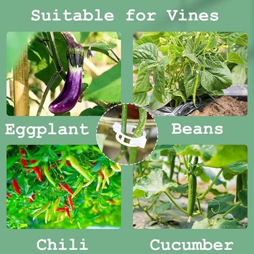 Plant Support Clips, Reusable Garden Clips Plant Holder Clips, Plastic Tomato Vine Grape Clips for String Trellis Plant Clips for Climbing Plants Support Outdoor Indoor Gardening Supplies (50, Black) - color: Black