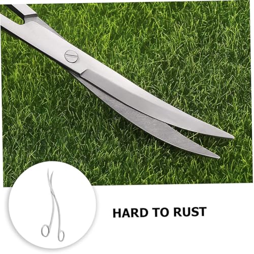 BESPORTBLE Stainless Steel Wave Scissors for Aquascaping Aquarium Plant Trimming Tools for Intricate Landscaping and Maintenance Fish Tanks
