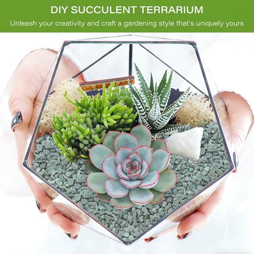 3lb Green Zeolite for Plants, 3/8" Natural Succulent Potting Soil Amendments, Decorative Gravel for Cactus, Bonsai Gritty Rock, Pebbles Pumice for Vase Fillers, Top Dressing - color: Green, size: 3 Lb