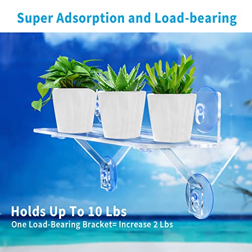 15 Inch Suction Cup Shelf for Plants Window, 6IN Extra Wide with Load-Bearing Brackets Window Shelf for Plants, Acrylic Sill Extender for Growing Herbs, Micro Vegetables, Succulents, Clear-1