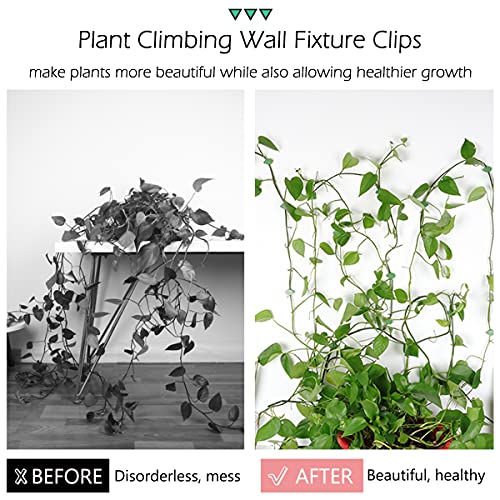 LUCKJUJU 100 Pcs Plant Climbing Wall Fixture Clips Self-Adhesive Hook Vines Traction Clips Invisible Holder Garden Green Leaf Simulation Self-Adhesive Hook Wire Fixing Supporting - color: 50Pcs+50Pcs